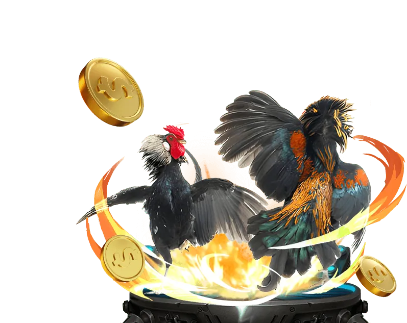 Mẹo chơi bắn cá cho người mới tại suncity link